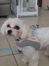 Mayra review photo