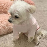 Millie review photo