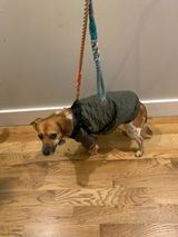 Nellie review photo
