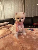 Chyna review photo