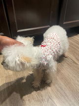 Etsy customer review photo