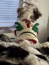 Etsy customer review photo
