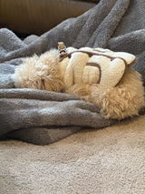 Etsy customer review photo