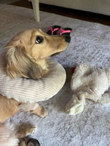 Etsy customer review photo