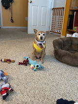 Etsy customer review photo