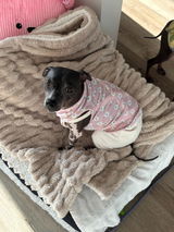 Etsy customer review photo