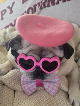 Etsy customer review photo