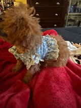 Etsy customer review photo