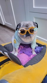 Etsy customer review photo