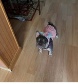 Etsy customer review photo