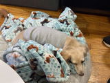 Etsy customer review photo