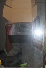 Zunayed review photo