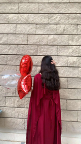 Seema review photo