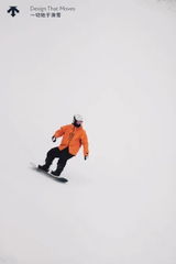 D.S. review photo