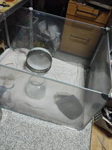 部屋んぽ review photo
