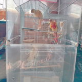 さめ review photo