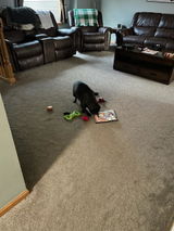 Chelsea Budde review photo