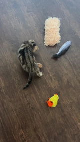 crickiee review photo