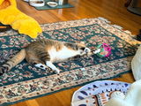 Meri review photo