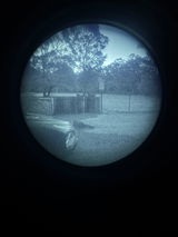 Anonymous review photo