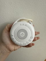 Kristy Harb review photo