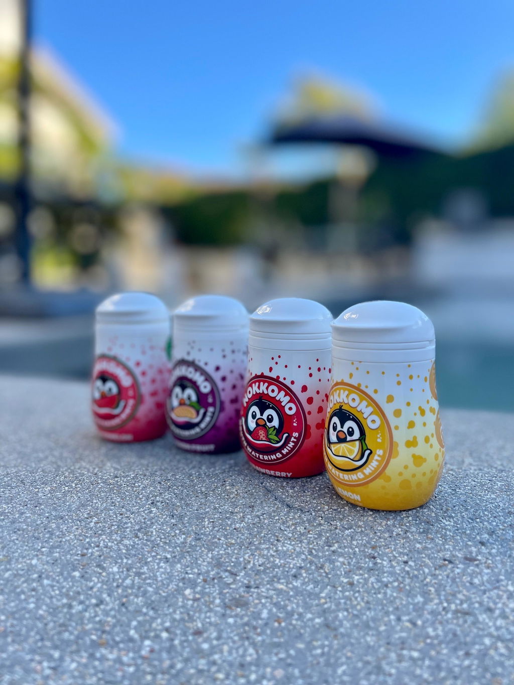 Nokkomo Mints Variety Pack for Cotton Mouth Relief