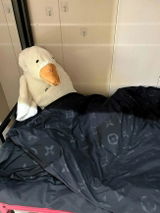 Lauren C. review photo
