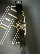 SG-2529-3227 N.B. review photo