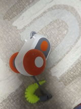 Wren review photo