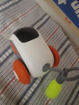 Wren review photo