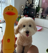 Lila review photo