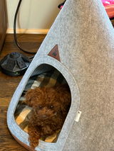Gidget review photo