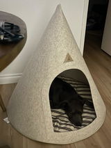 Max review photo