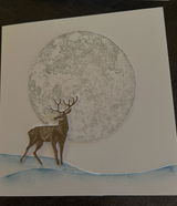Ann Ross review photo