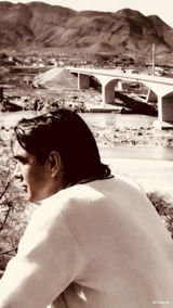 Sami ur Rahman review photo