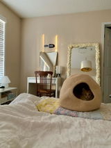 Lindsay Cunningham review photo