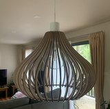 Caro review photo