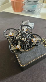 Seb review photo