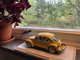 Sven, S.S. review photo