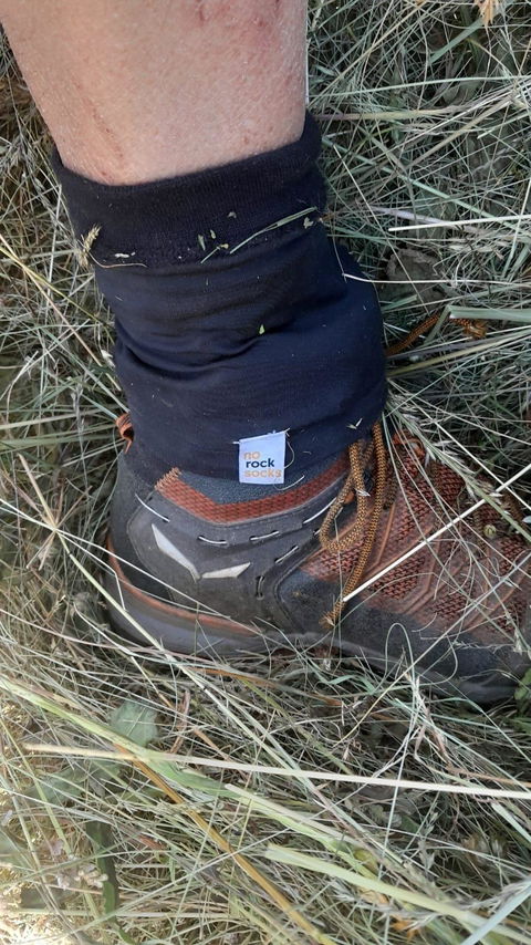 norocksocks