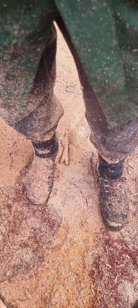 norocksocks