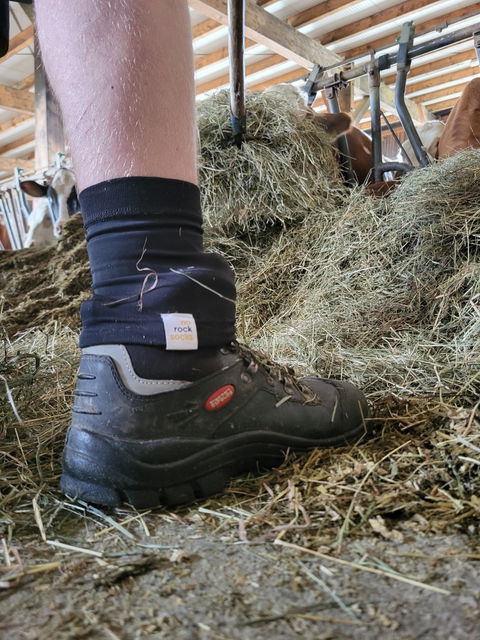 norocksocks