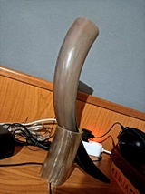 Klajdi Bulku review photo