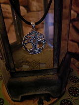 A S. review photo
