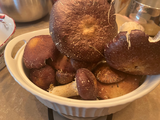 Sheila Kulbeth review photo