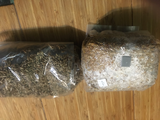 James Sullins review photo
