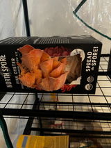 Crownoakranch review photo
