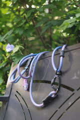 Roam Pro | Quick-Adjustable Hands-Free Leash with Built-In Traffic Handle