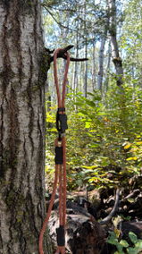 Summit Seeker | Everyday Leash with Built-In Traffic Handle