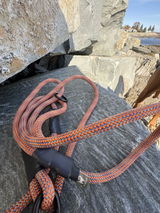 Summit Seeker | Everyday Leash with Built-In Traffic Handle